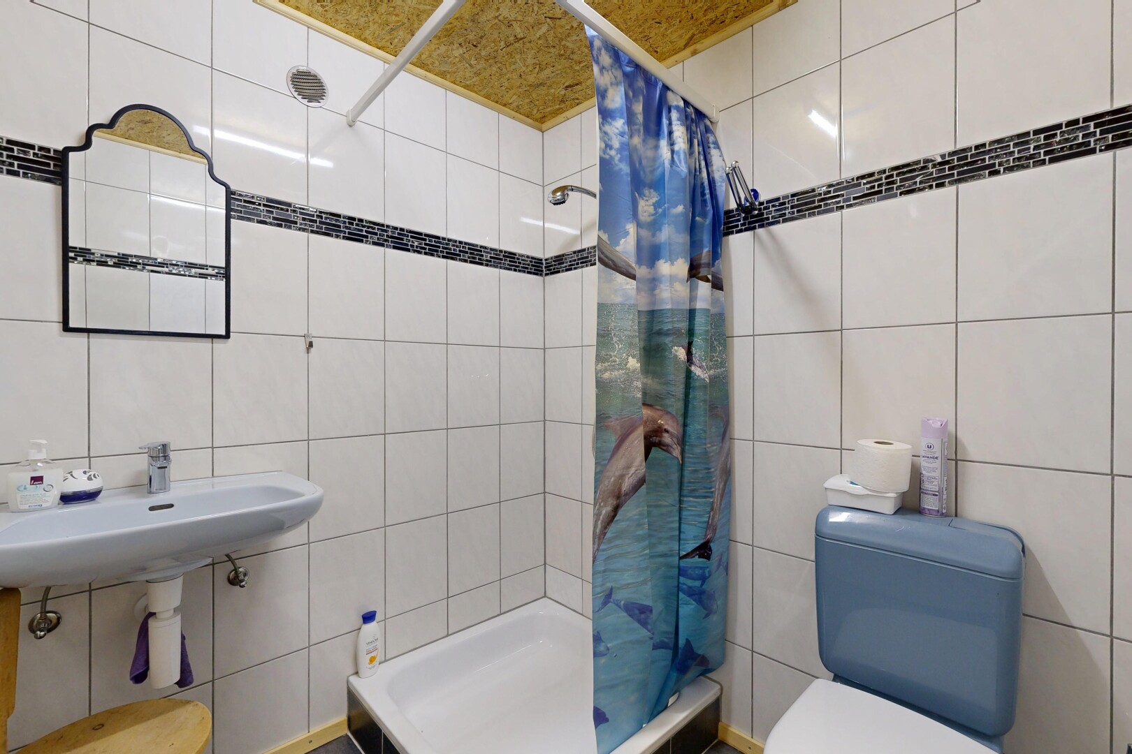 salle de bains avec mur en carrelage, tile wall, toilette, douche, et salle de bain complète