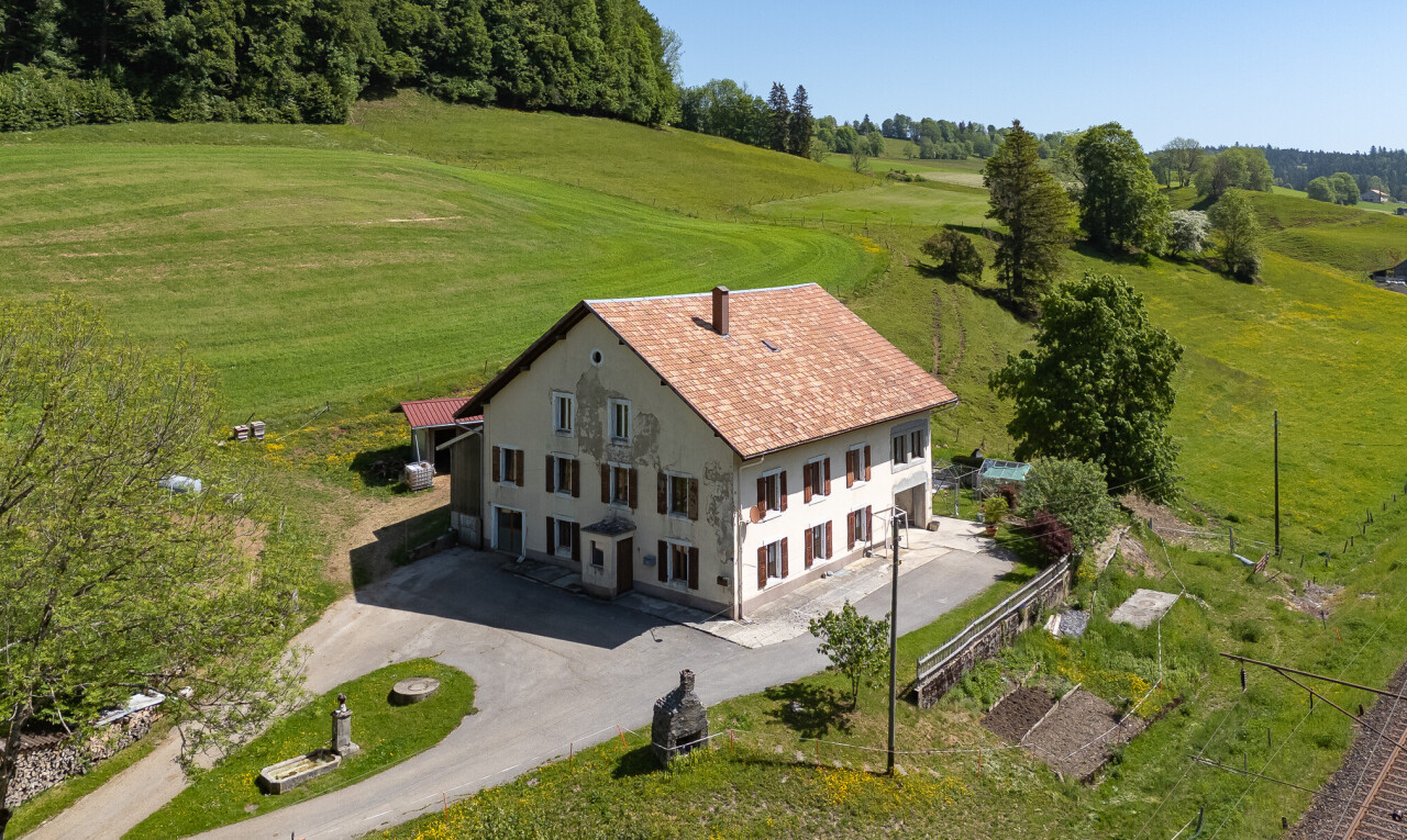 façade avec property visible, pelouse, woods view, vue sur les bois, et allée