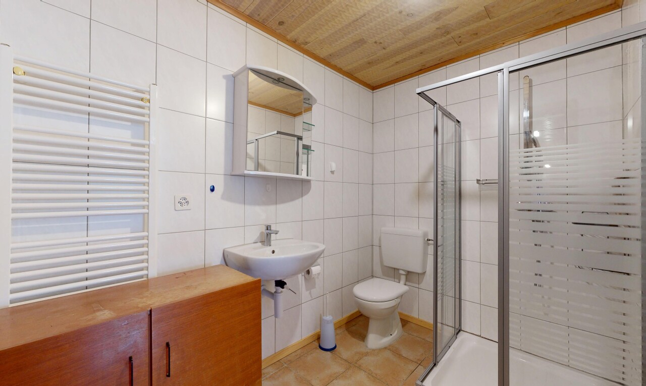 salle de bains avec radiateur, douche, salle de bain complète, toilette, et miroir
