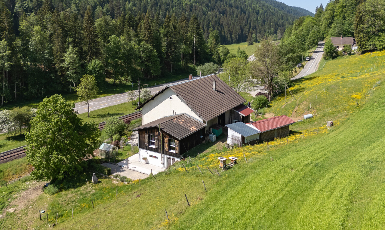 façade avec vue sur la forêt, forest view, garage intégré, garage au sous-sol, et terrasse