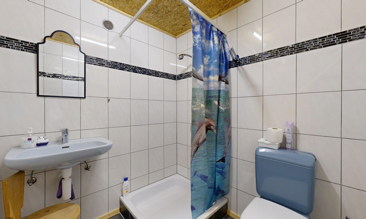 salle de bains avec mur en carrelage, tile wall, toilette, douche, et salle de bain complète