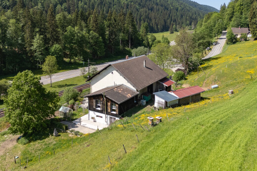 außenansicht mit waldblick, forest view, eingebaute garage, kellergarage, und terrasse