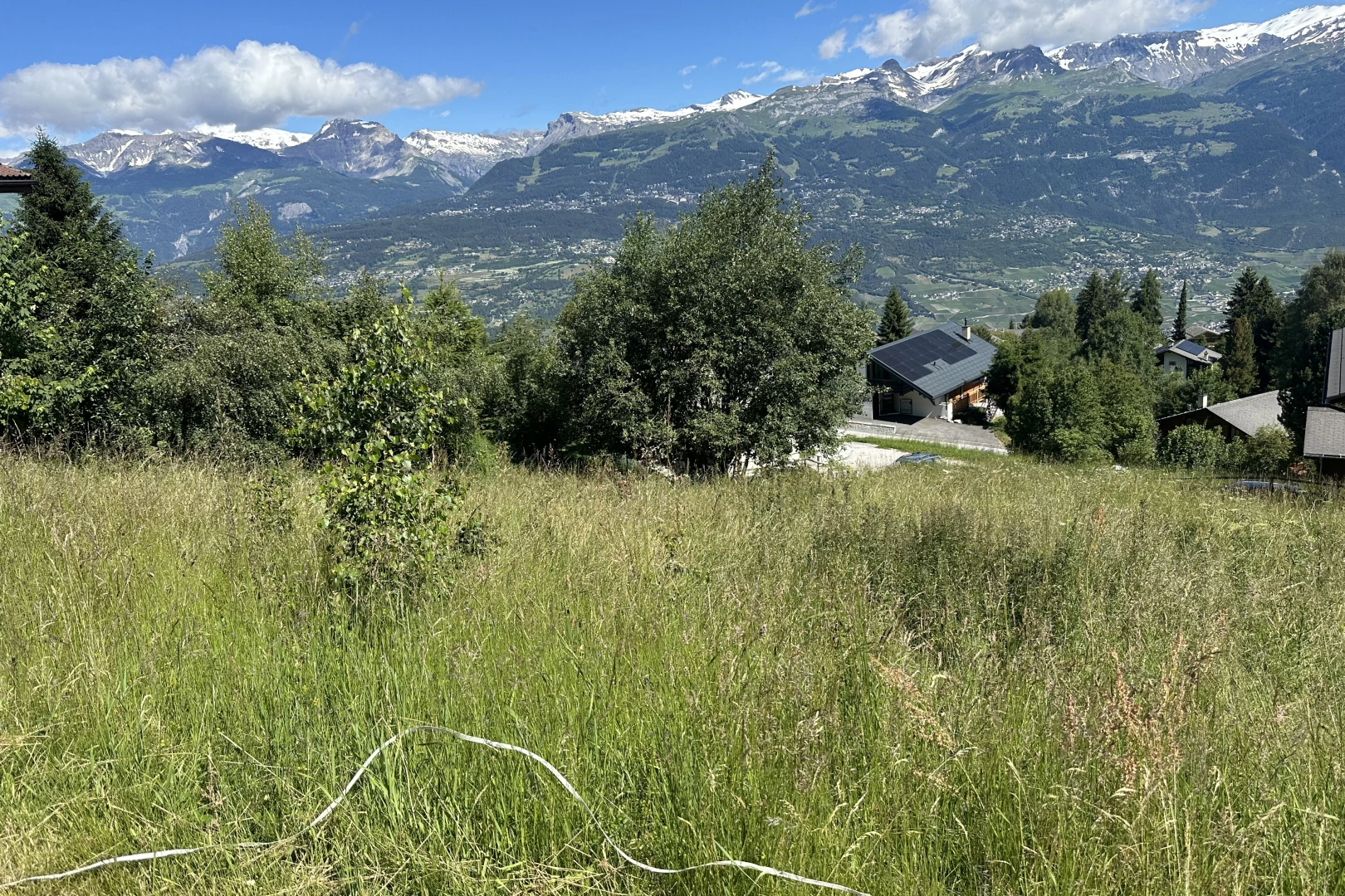 vue sur la montagne avec vue sur la forêt et vue sur la montagne