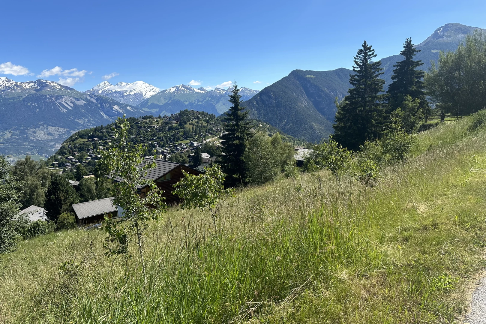 vue sur la montagne avec vue sur la montagne