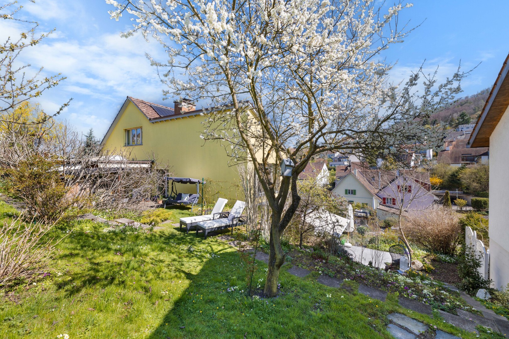 jardin