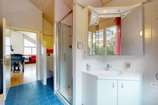 salle de bains avec évier, lumière naturelle, natural light, plafond voûté, et vaulted ceiling