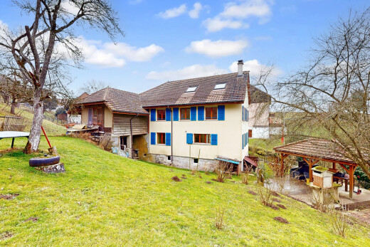 façade avec cheminée, pelouse, property visible, terrasse, et bardage en stuc