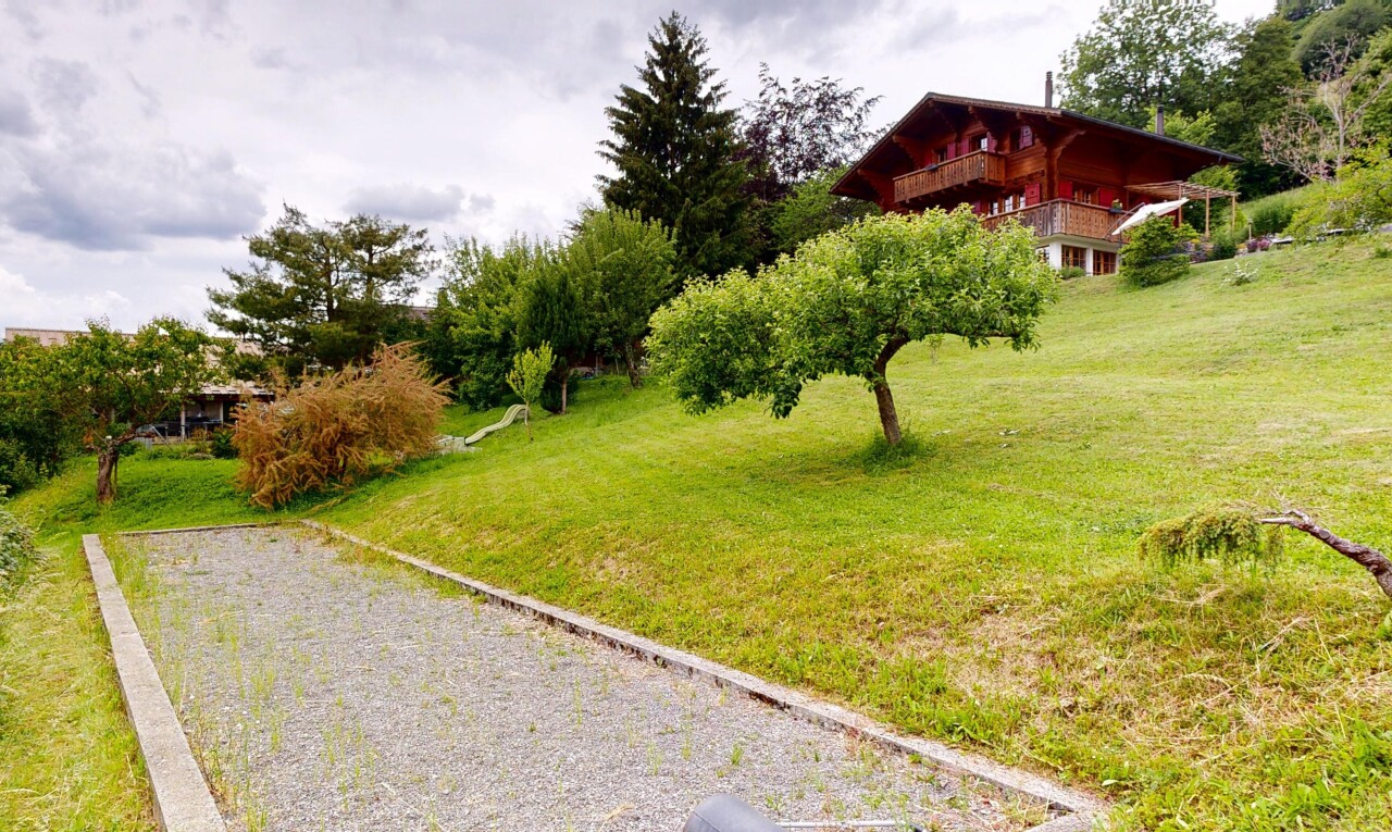 jardin avec pelouse, overcast, et terrasse