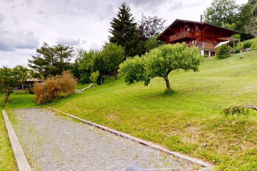 jardin avec pelouse, overcast, et terrasse