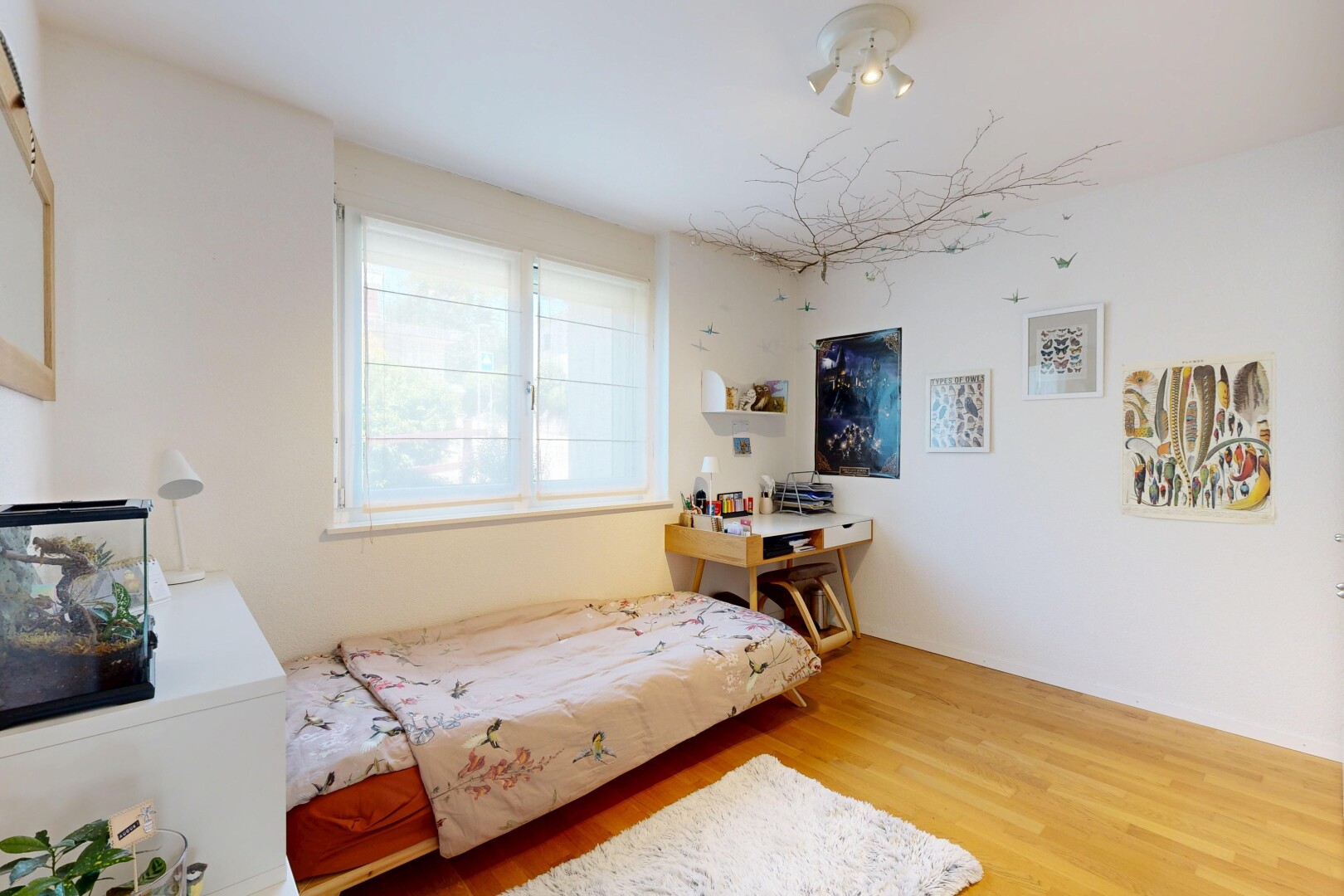 chambre avec cloison sèche, drywall, sol en finition bois, wood finish floor, et lumière naturelle