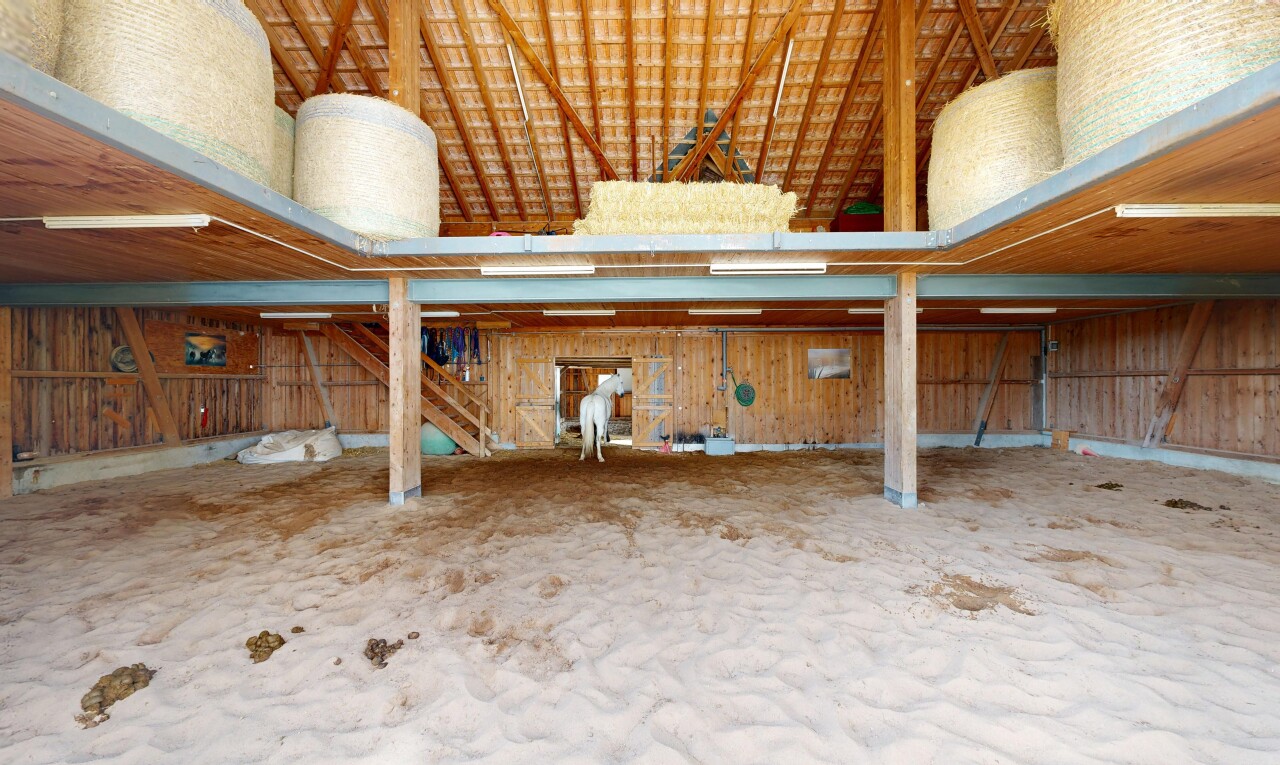 leerer raum mit inside property, hohe decke, high ceiling, dachschräge, und vaulted ceiling