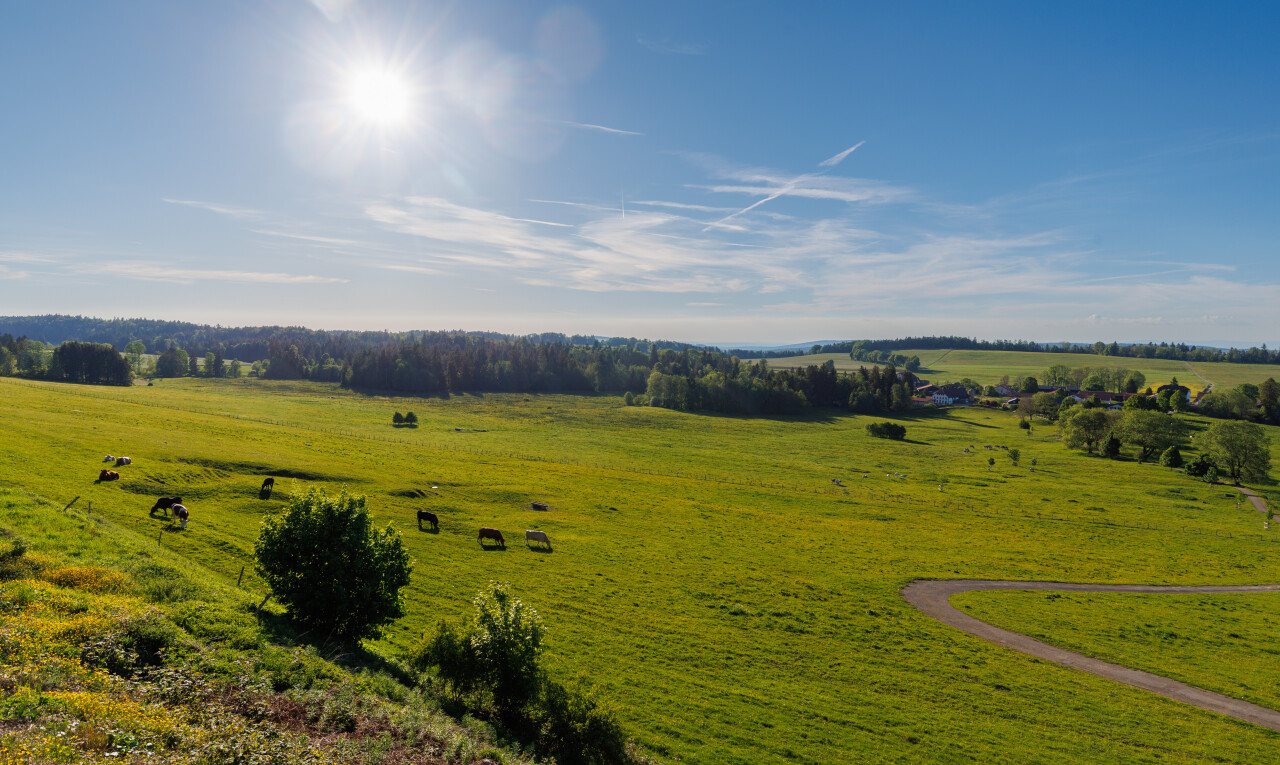 jardin avec rural view, vue rurale, day time, pasture view, et vue sur le pâturage
