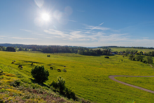 jardin avec rural view, vue rurale, day time, pasture view, et vue sur le pâturage