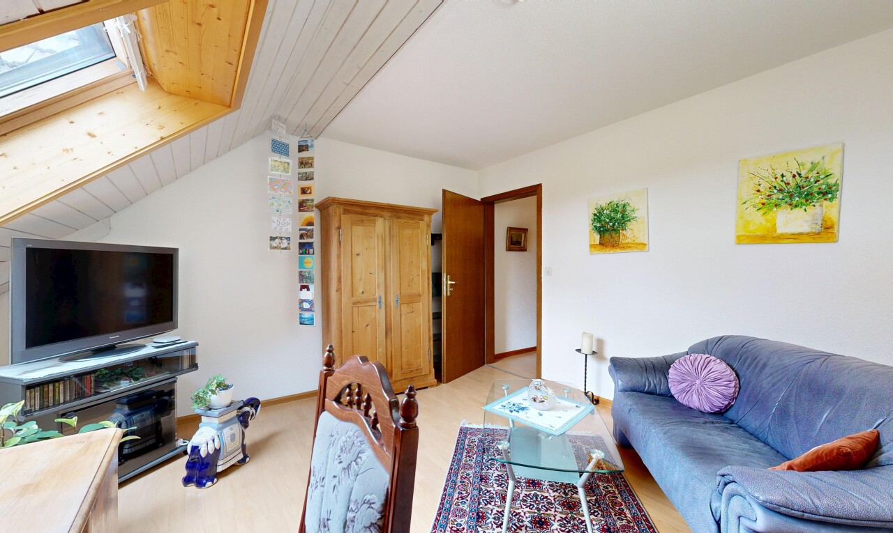 wohnzimmer mit holzdecke, wood ceiling, dachfenster, inside property, und fernseher