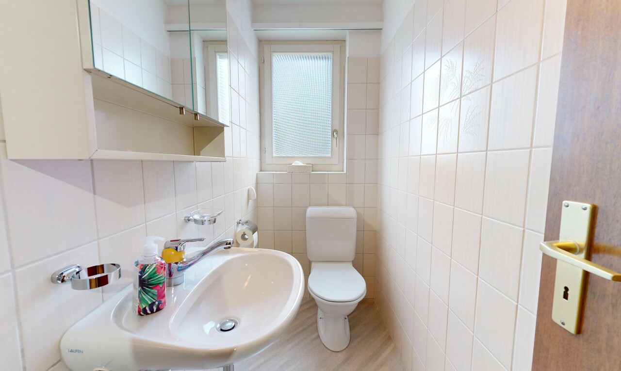 bad mit spiegel, toilette, gäste-wc, waschbecken, und fliesenwand