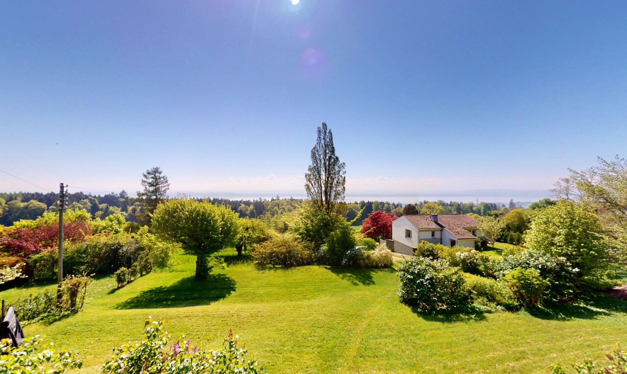 garden with a yard