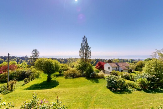 garden with a yard