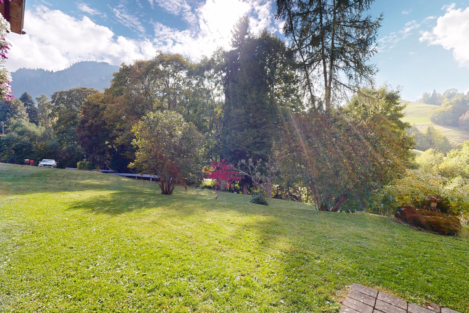 jardin avec pelouse et day time