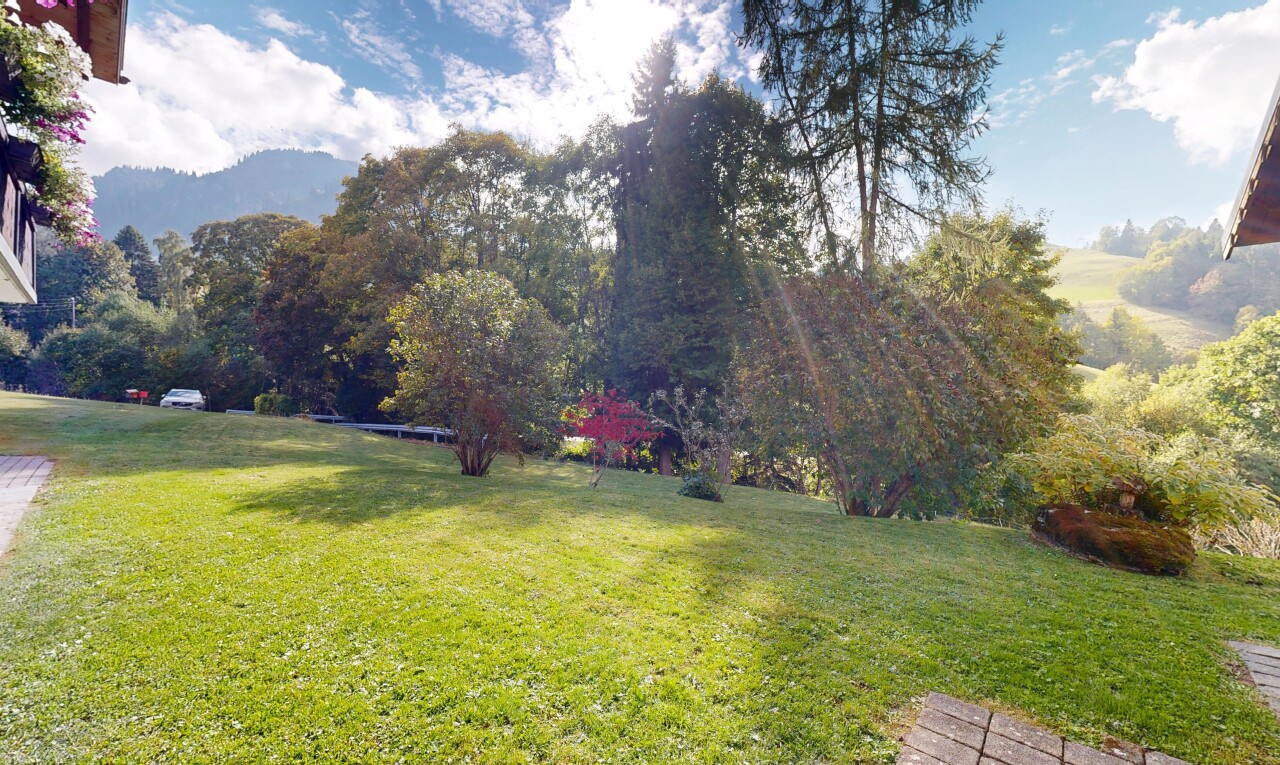 jardin avec pelouse et day time