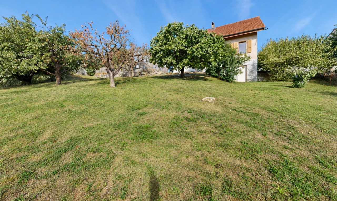 jardin avec pelouse et day time