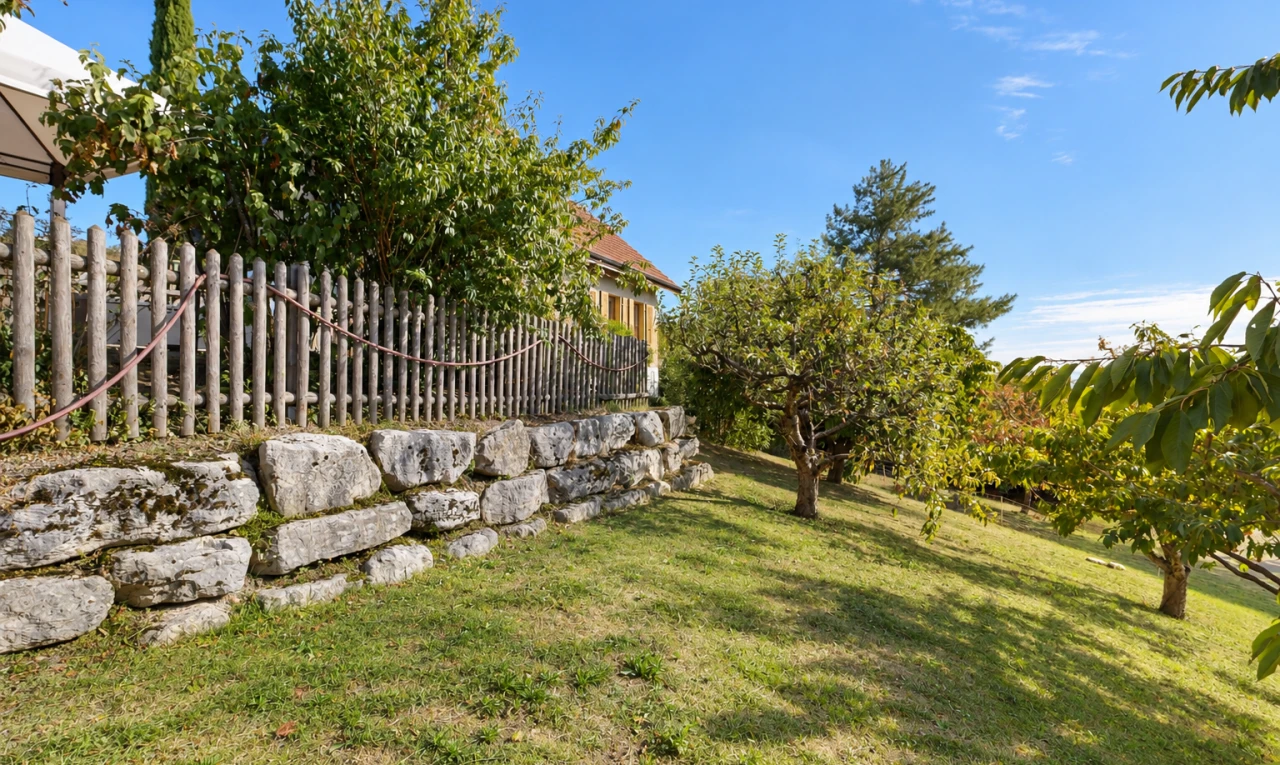 jardin avec pelouse, clôture, et day time