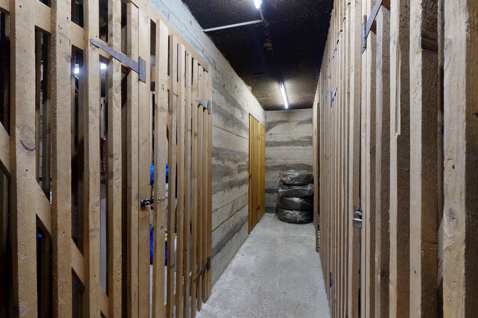 interior space with wooden walls