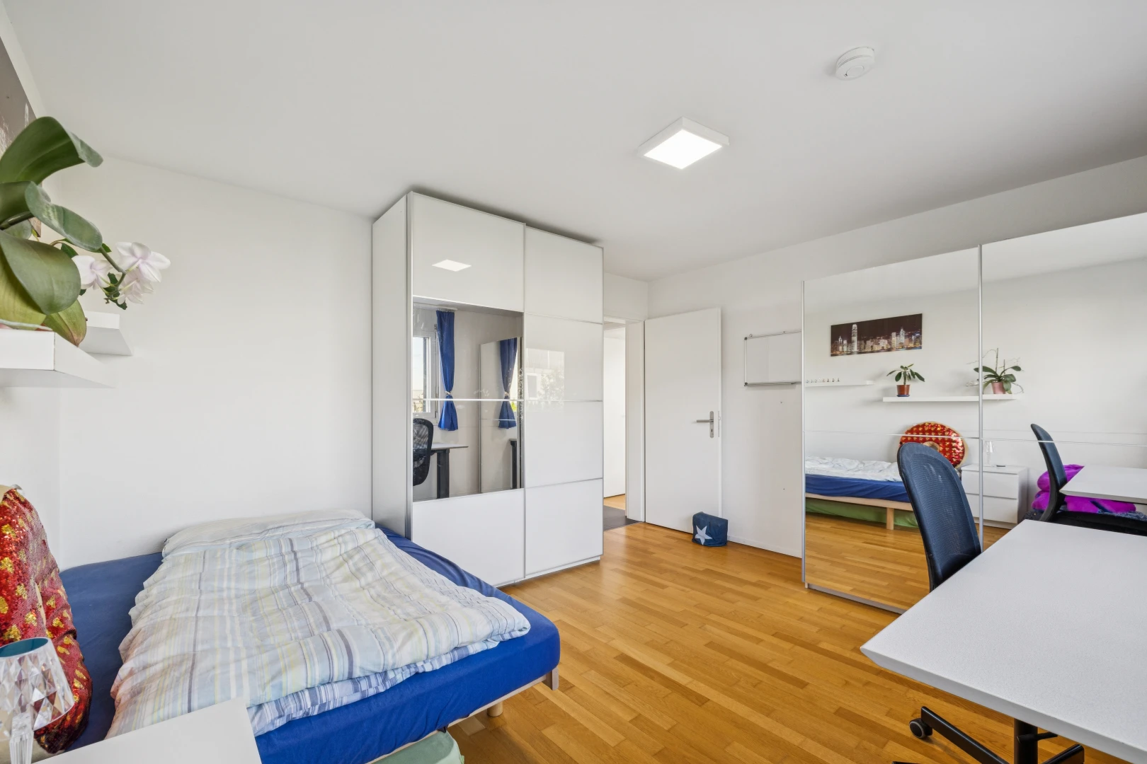 zimmer / schlafzimmer mit bürobereich, gipskartonwand, drywall, holzfußboden, und wood finish floor
