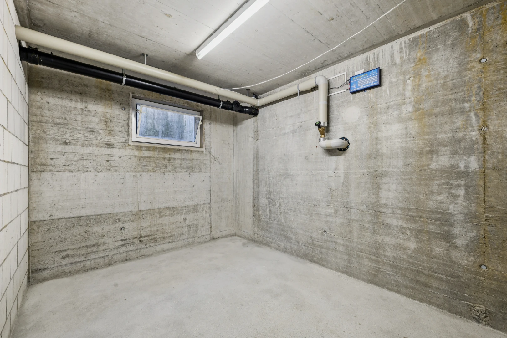 leerer raum mit keller, natürliches licht, betonboden, concrete floor, und betonmauer