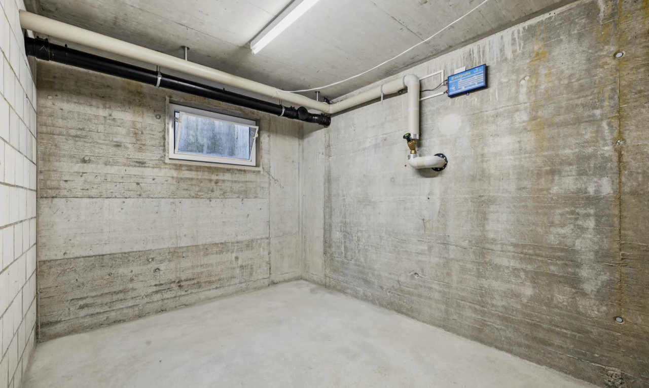 leerer raum mit keller, natürliches licht, betonboden, concrete floor, und betonmauer
