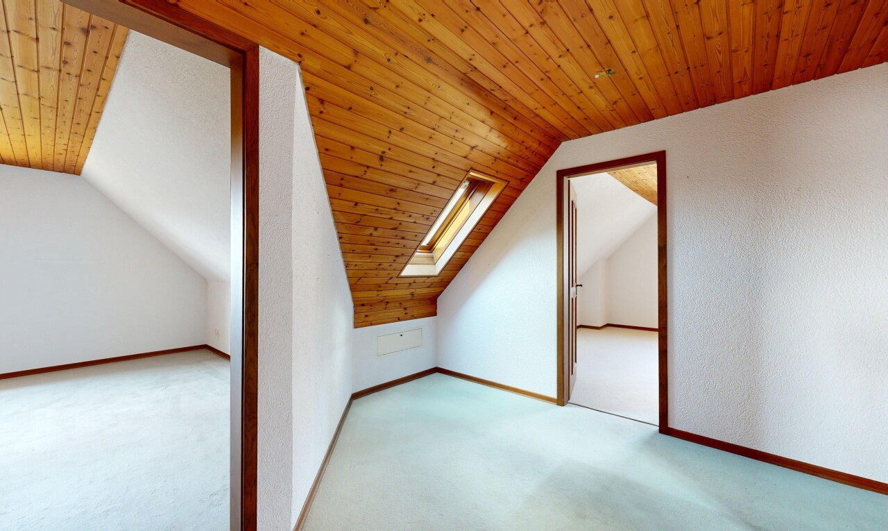 leerer raum mit dachfenster, holzdecke, wood ceiling, teppich, und carpet