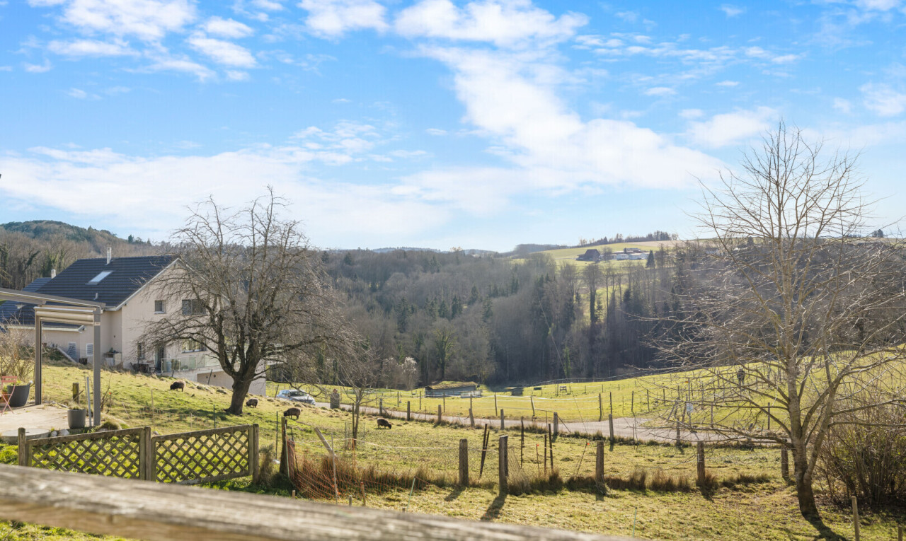 blick auf die berge mit ländliche aussicht
