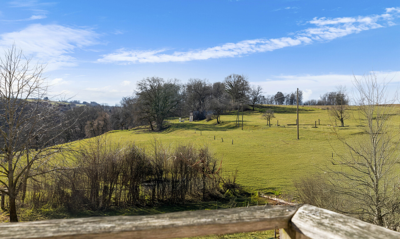 garten mit ländliche aussicht und rasen