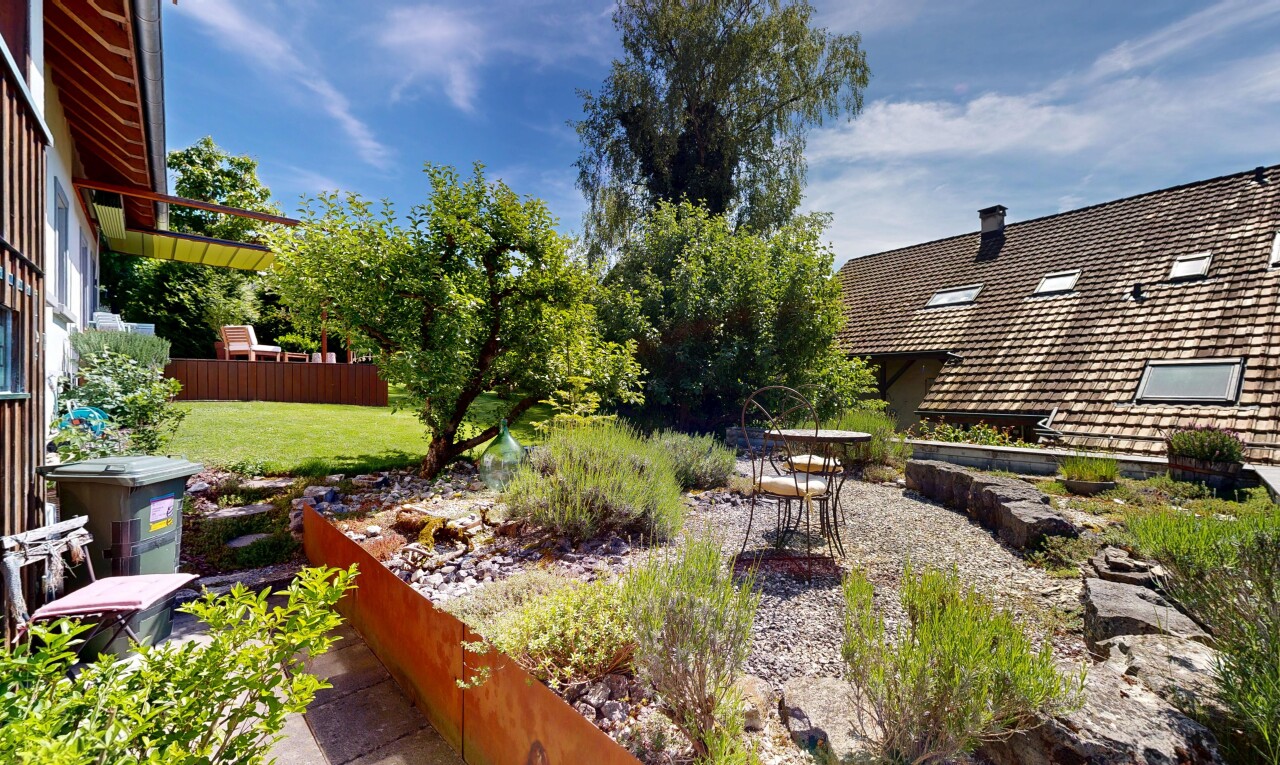 garten mit from property, day time, rasen, und terrasse