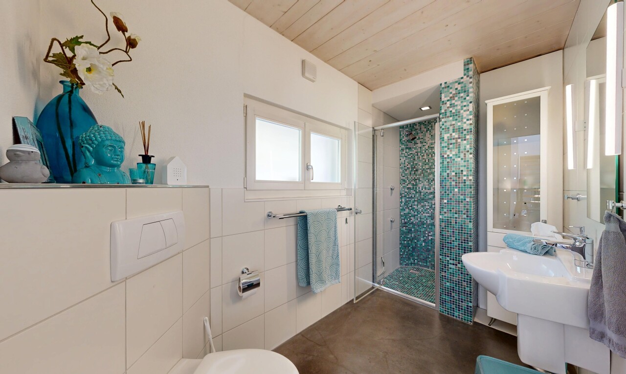 bad mit komplettes badezimmer, dusche, spiegel, natürliches licht, und natural light