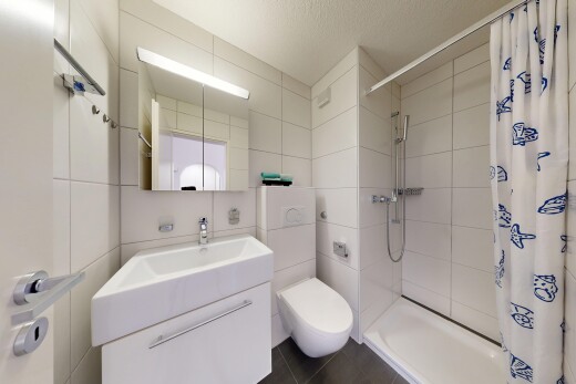 bad mit komplettes badezimmer, dusche, schminktisch, tile wall, und fliesenwand