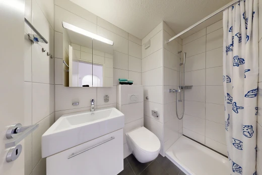 bad mit komplettes badezimmer, dusche, schminktisch, tile wall, und fliesenwand