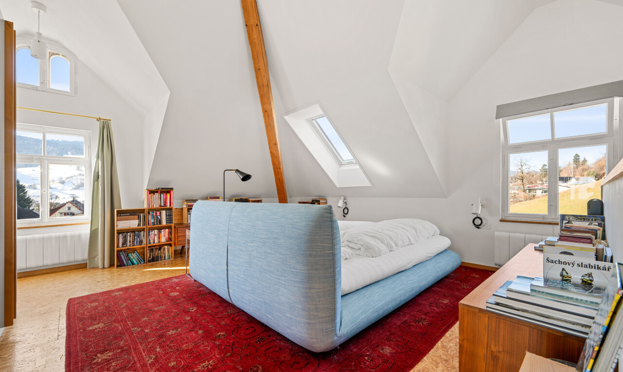 zimmer / schlafzimmer mit day time, dachfenster, natürliches licht, natural light, und zusätzliches zimmer