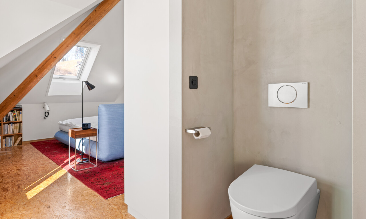 bad mit dachfenster, inside property, gipskartonwand, und drywall