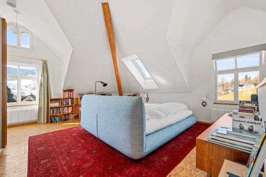 zimmer / schlafzimmer mit day time, dachfenster, natürliches licht, natural light, und zusätzliches zimmer
