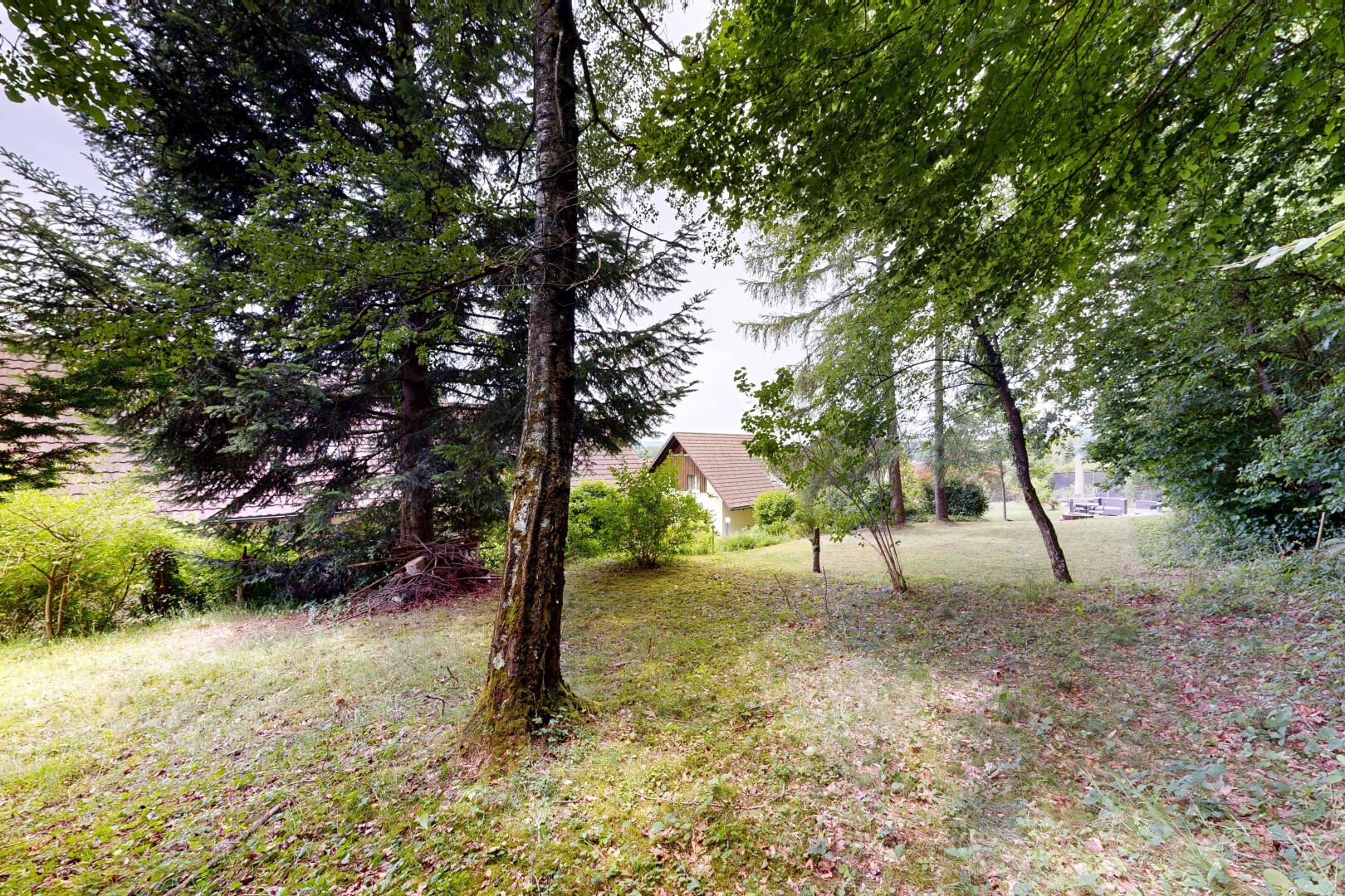 garten mit overcast