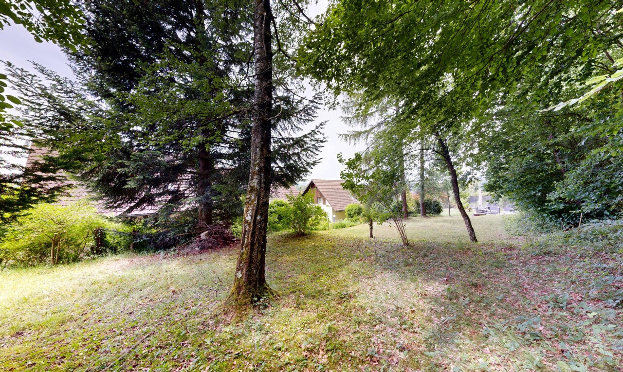 garten mit overcast