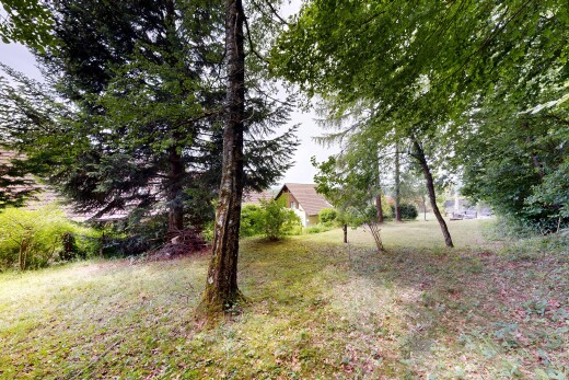 jardin avec overcast