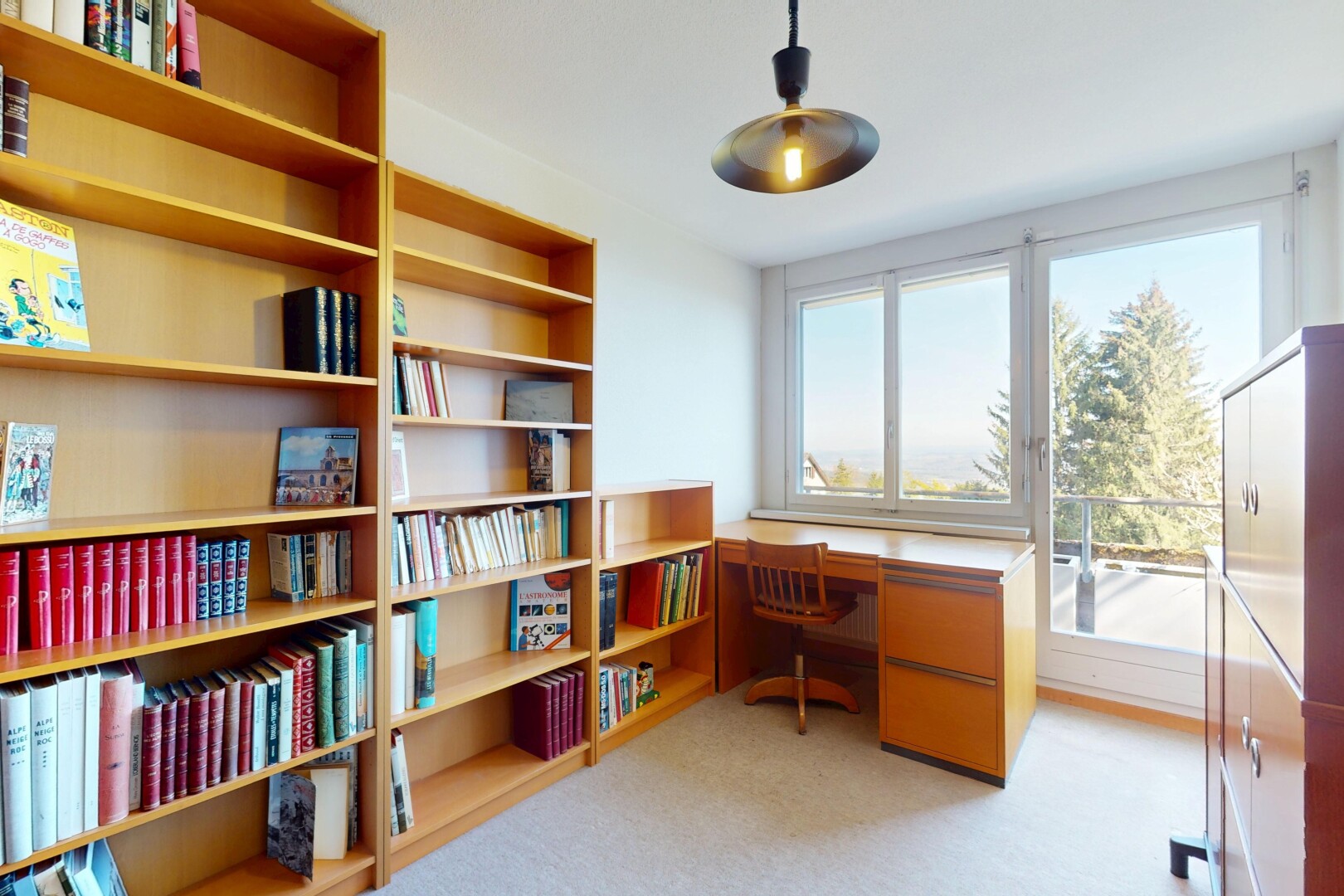 view of carpeted home office