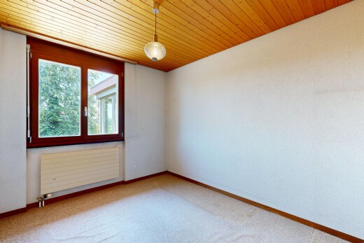 leerer raum mit kühler, teppich, carpet, natürliches licht, und natural light