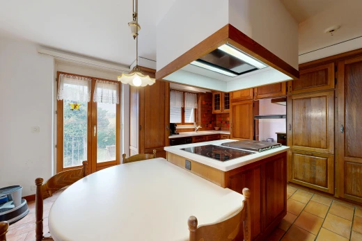 kitchen with island range hood, light countertops, wood finish cabinets, glass insert cabinets, and access to outside