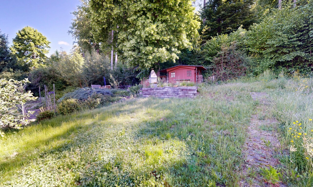 jardin avec day time, vue sur les bois, et woods view
