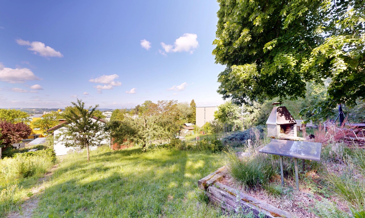 jardin avec pelouse et day time