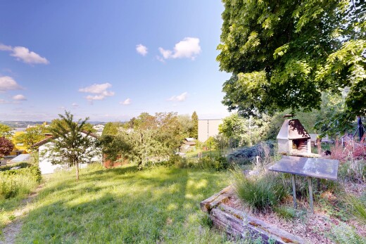 garten mit rasen und day time