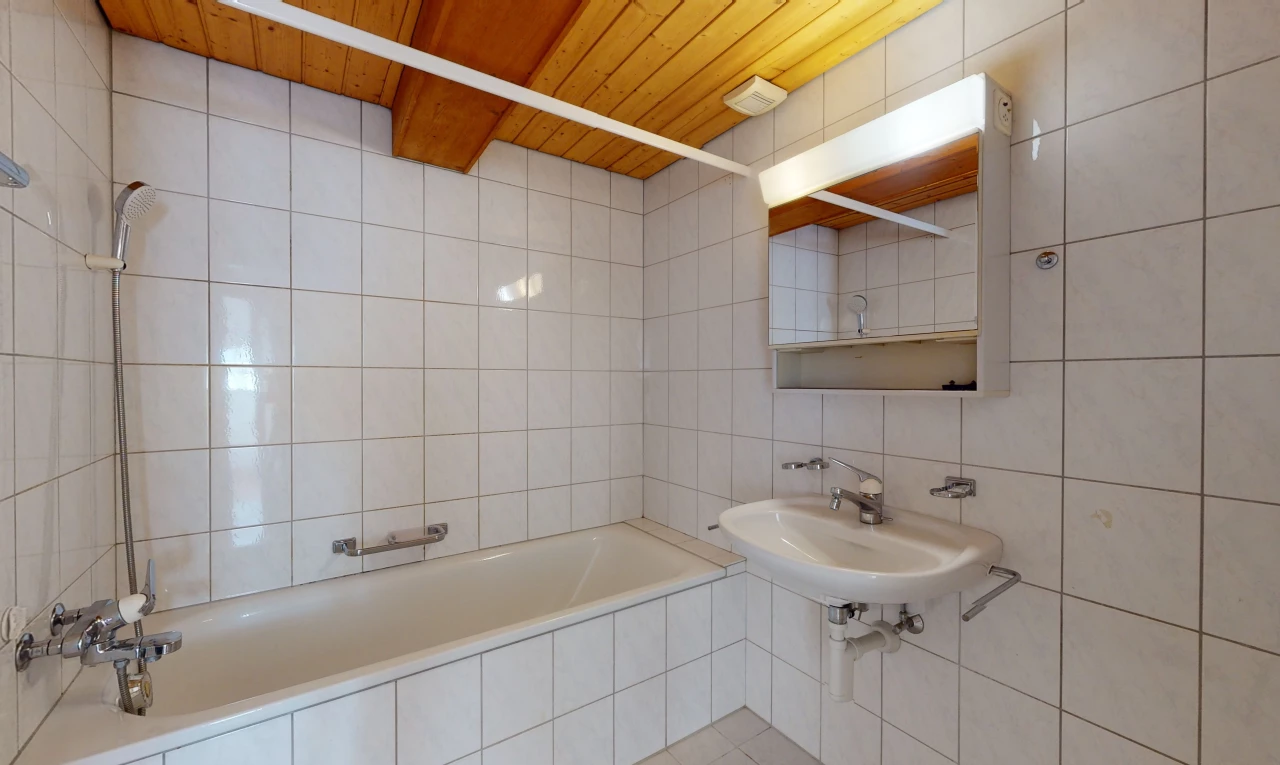 salle de bains avec bain-douche, miroir, et vasque