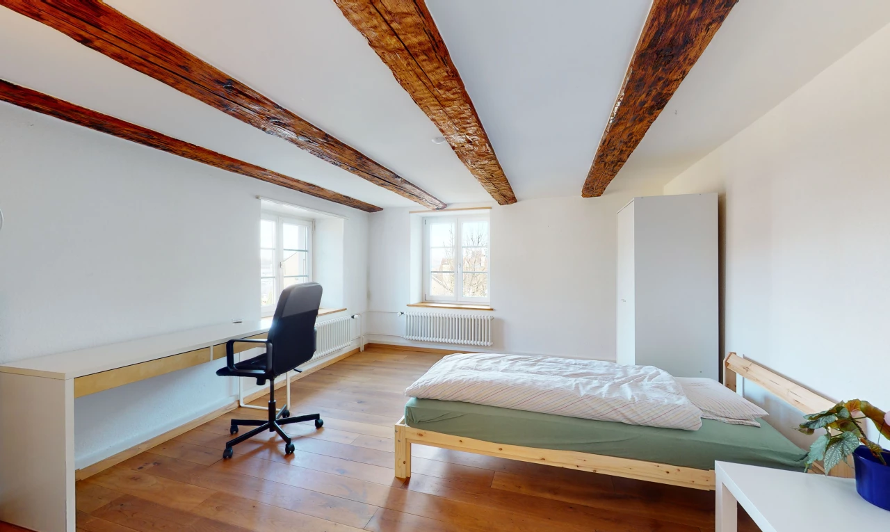 chambre à coucher avec poutres apparentes, lumière naturelle, parquet, et radiateur